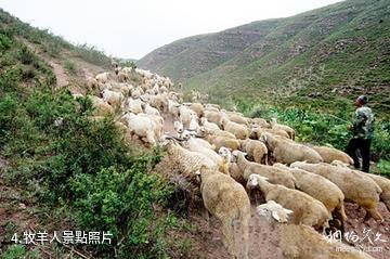沁水示範牧場-牧羊人照片