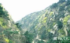 泰安新泰魯商·新甫山旅遊攻略之第二森林浴場