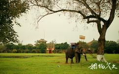 越南順化市旅遊攻略之大象