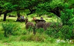 毛里求斯卡塞拉自然公园旅游攻略