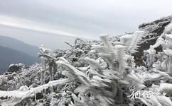 永州藍山雲冰山旅遊攻略之冰掛雪景