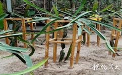 天津楊柳青園藝科技博覽園旅遊攻略之熱帶亞熱帶果樹展示館