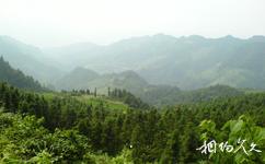 湘西古丈棲鳳湖旅遊攻略之原始次森林