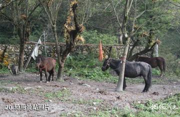 阿壩汶川三江生態區-騎馬照片