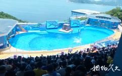 香港海洋公园旅游攻略之海洋剧场