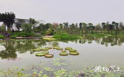广州海珠湿地公园旅游攻略之清涟园