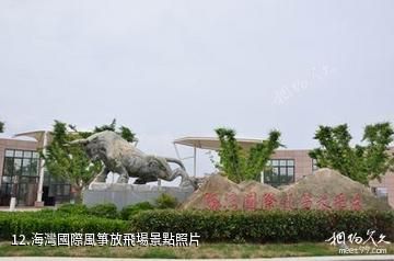 上海奉賢海灣旅遊區-海灣國際風箏放飛場照片