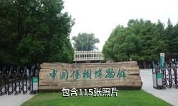 泗阳中国杨树博物馆驴友相册