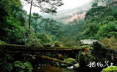 重慶江津四面山國家森林公園旅遊攻略之峽谷木橋