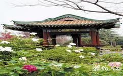 洛阳市中国国花园旅游攻略之金牡丹台