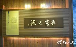 慶元香菇博物館旅遊攻略之香菇之源