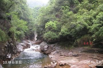 温州文成龙麒源-峡谷景廊照片