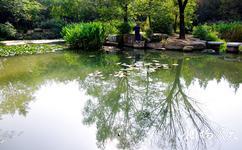 南京下馬坊遺址公園旅遊攻略之放生池