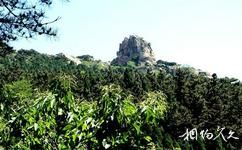 泰安徂徠山國家森林公園旅遊攻略之春陽坡