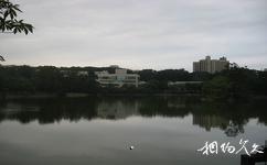台灣國立清華大學校園概況之成功湖