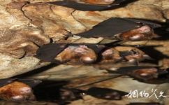 西安翠華山旅遊旅遊攻略之蝙蝠洞