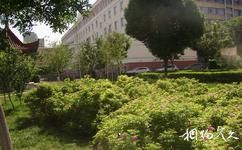 新疆大学校园概况之宿舍楼小景