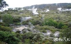 紐西蘭羅托魯阿旅遊攻略之華卡雷瓦雷瓦地熱保護區