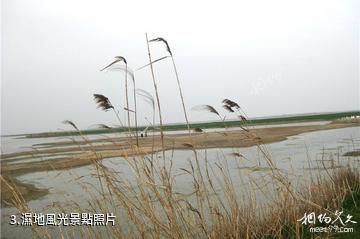 江都邵伯湖風景區-濕地風光照片