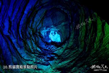 宜春酌江風景區-熊貓寶殿照片