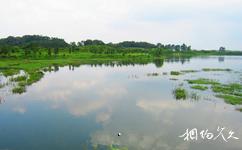 東莞松山湖旅遊攻略之濕地公園