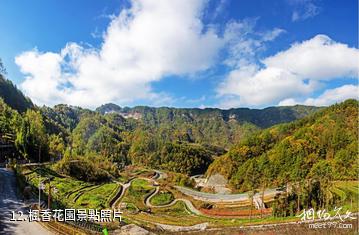 萬州三峽古楓香園景區-楓香花園照片