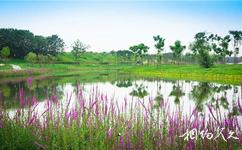 新津白鹤滩国家湿地公园旅游攻略之秋云湖