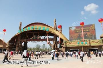 南通森林野生動物園照片