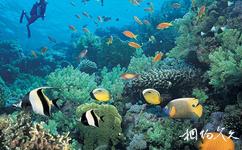 三亞美天涯熱帶海洋世界旅遊攻略之熱帶海洋水族館