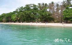 泰國芭提雅旅遊攻略之珊瑚島(KoLan)