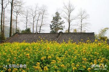 杭州东明山森林公园-东明山春色照片