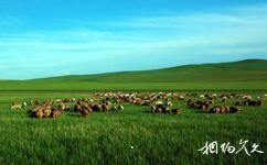 內蒙古輝騰錫勒鐵騎旅遊中心旅遊攻略之輝騰錫勒草原