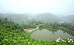 重庆巴岳山―西温泉旅游攻略之风景