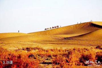 和田大漠胡杨林旅游区-沙漠照片
