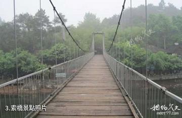 自貢尖山自然風景區-索橋照片