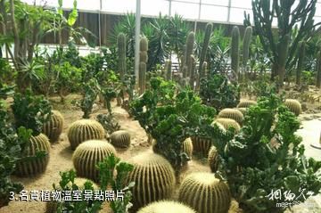 天津君利溫泉-名貴植物溫室照片