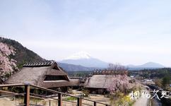日本富士山旅遊攻略之西湖裡根場