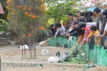 佛山盈香生態園-小小動物園照片