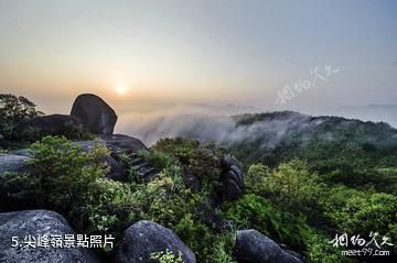 福建梅花山國家級自然保護區-尖峰嶺照片