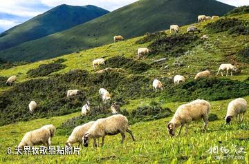 康定木雅聖地景區-天界牧歌照片