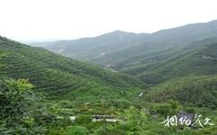 千靈山自然旅遊攻略之玉亭溝