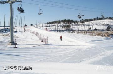 龍井馬蹄山旅遊度假區-滑雪場照片