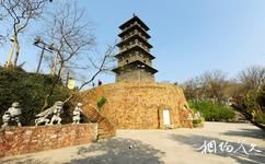 南京九華山公園旅遊攻略之三藏塔