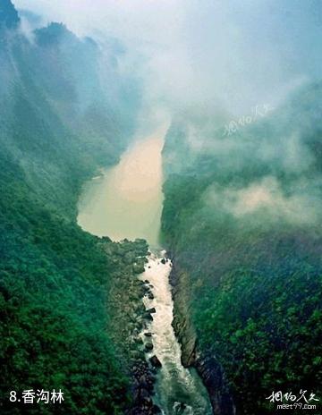 瓮安江界河-香沟林照片