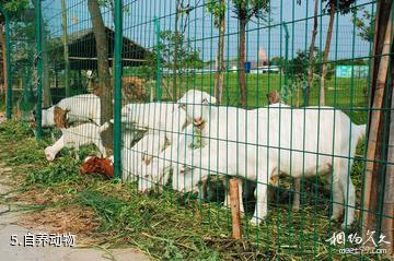 上海玉穗绿苑-自养动物照片