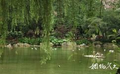 重慶動物園旅遊攻略之水禽湖