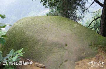 重慶巴岳山―西溫泉風景區-龜背石照片