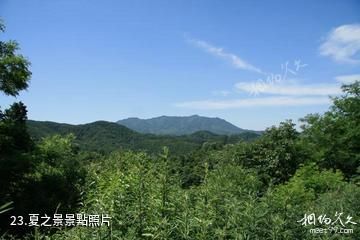 三門峽甘山國家森林公園-夏之景照片