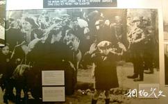 波蘭奧斯維辛集中營旅遊攻略之倖存者