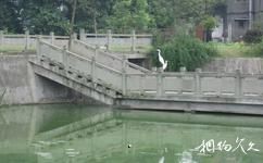 泸州张坝桂圆林旅游攻略之白鹤